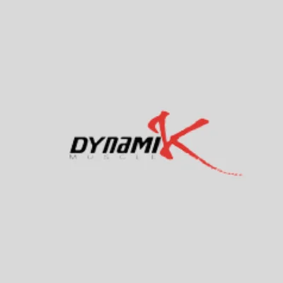 Dynamik Logo